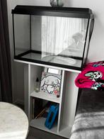 Awuarim with shelf, Ophalen, Zo goed als nieuw, Leeg aquarium