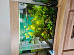 Juwel  120 liter plus inhoud, Dieren en Toebehoren, Vissen | Aquaria en Toebehoren, Ophalen, Zo goed als nieuw, Gevuld zoetwateraquarium