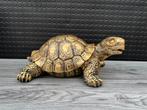 schildpad (goud/zwart) 18hoog 38breed 26diep/Nieuw!, Verzamelen, Beelden en Beeldjes, Ophalen of Verzenden, Nieuw, Dier