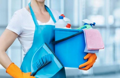 Poetsdame van details zoekt nog adresjes, Vacatures, Vacatures | Schoonmaak en Facilitaire diensten, Overige vormen