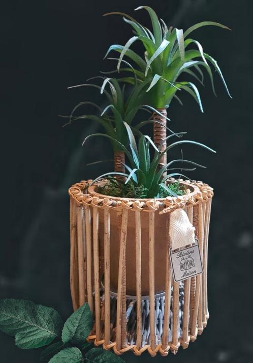 Nieuw 1kunstplant & 1 rivièra maison rustic rattan surabaya, Huis en Inrichting, Woonaccessoires | Overige, Ophalen of Verzenden