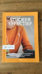 Albert Pilot - Studeer Effectief, Ophalen of Verzenden, Zo goed als nieuw, Albert Pilot; Bernadette van Hout-Wolters; Pieter Jongepier; ...