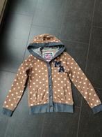 Miss America Hoody XS (164) met sterren, Ophalen of Verzenden, Zo goed als nieuw, Meisje, Trui of Vest