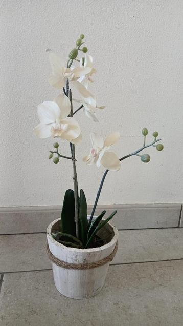 kunstplant plantenpot hout sierpot bloempot sierpot orchidee beschikbaar voor biedingen