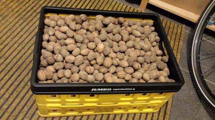walnoten biologisch ALLERLAATSTE KILO'S 10 kilo beschikbaar, Diversen, Levensmiddelen, Ophalen