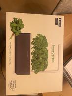 Click & Grow Smart Garden - Nieuw!, Fruitplant, In pot, Minder dan 100 cm, Groene kamerplant