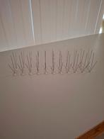 vogelpennen, Januari, Meerdere dieren