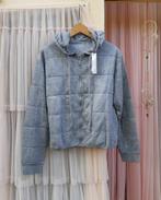 Majestic Filatures grijs bomberjasje hoodie vest jas M L, Maat 38/40 (M), Nieuw, Ophalen of Verzenden, Grijs