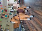 Mooi paard op wielen., Ophalen, Paard