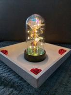 Nieuwe mooie Eeuwige roos., Ophalen of Verzenden, Nieuw