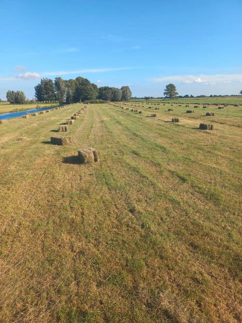 Top Hooi LAAG IN SUIKER pakjes kleine baaltjes, Dieren en Toebehoren, Dierenvoeding, Vee, Ophalen
