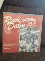 Rudi van dalm and his raindrops - waarom huil je toch, Ophalen of Verzenden, Zo goed als nieuw