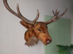 Rendier hertenkop rudolf kerst, Diversen, Ophalen, Zo goed als nieuw