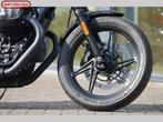 MOTO GUZZI V 7 STONE Special (bj 2024), 853 cc, 2 cilinders, Bedrijf, Meer dan 35 kW