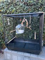 Vogel kooi voor parkieten of lovebirds, zwart, compleet, Dieren en Toebehoren, Ophalen, Zo goed als nieuw, Metaal, Vogelkooi