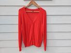 Hema vest XL rood, Verzenden, Maat 46/48 (XL) of groter, Zo goed als nieuw, Hema