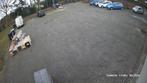 GROOT BUITENTERREIN TE HUUR. 24u bewaking, volledig afgeslot