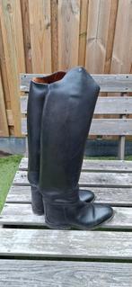 Petrie Anky leren laarzen met extra hoge dressuurboog mt. 40, Dieren en Toebehoren, Paardrijkleding, Gebruikt, Dressuur, Ophalen of Verzenden