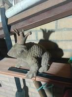 Gietijzer kikkkeer, Ophalen of Verzenden