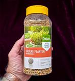 POKON Groene planten voedingskorrels 800 g (NIEUW), Overige soorten, In pot, Minder dan 100 cm, Bloeiende kamerplant