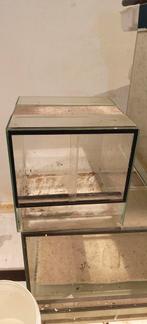 Terrarium / paludarium 30x30x30, Dieren en Toebehoren, Reptielen en Amfibieën | Toebehoren, Ophalen, Zo goed als nieuw, Terrarium of Paludarium