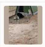 Omet ren 1 meter., Ophalen, 110 cm of meer, Ren