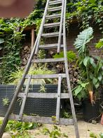 Wienese 2 delige ladder (2x 12 treden), Doe-het-zelf en Verbouw, Ladders en Trappen, Ophalen, Gebruikt, Ladder, Opvouwbaar of Inschuifbaar