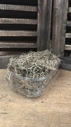 Tillandsia in bakje, ., Ophalen of Verzenden, ., .
