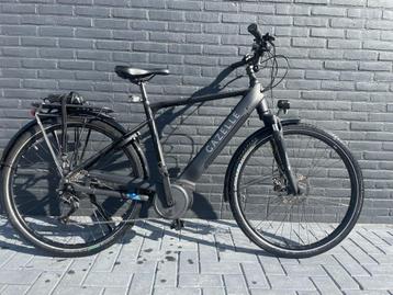 Gazelle medeo beschikbaar voor biedingen