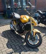 Honda Hornet CB600 met ABS net onderhoud gehad, 4 cilinders, Particulier, Meer dan 35 kW, 600 cc