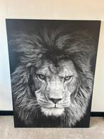 Zwart-wit canvas leeuw 120x90 cm, Huis en Inrichting, Woonaccessoires | Schilderijen, Tekeningen en Foto's, Ophalen, Nieuw, Print