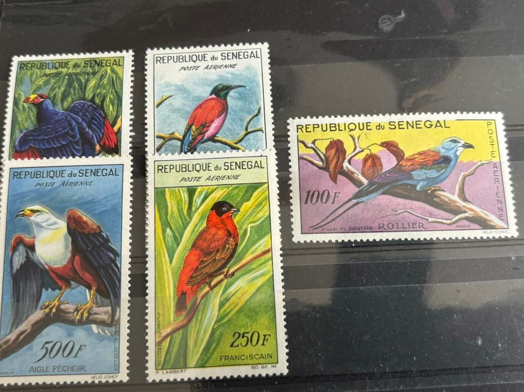 Vogel, Senegal 1960,100 F met plakker, Ophalen of Verzenden, Postfris, Dier of Natuur