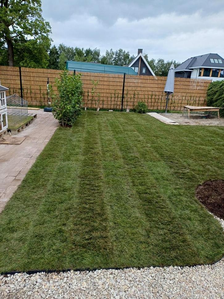 Graszoden Grasmatten zonder netting, Tuin en Terras, Gras en Kunstgras, Nieuw, 20 m² of meer, Ophalen of Verzenden