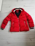Rode Dames Winterjas Tommy Hilfiger m, Maat 38/40 (M), Ophalen of Verzenden, Zo goed als nieuw, Rood
