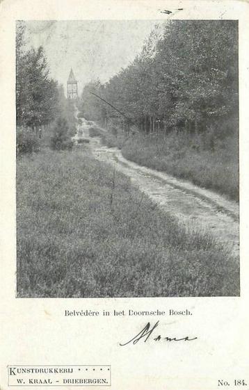 (388-391-043) Doorn Bos beschikbaar voor biedingen