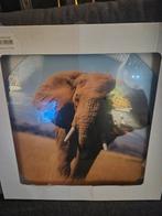 Glas schilderij Olifant Kleur, Ophalen of Verzenden, Minder dan 50 cm, Minder dan 50 cm