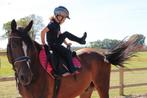 Lieve familie pony, 100% bomproof, kinderpony, Dieren en Toebehoren, Pony's, B, Ruin, 3 tot 6 jaar, Recreatiepony