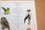 Vogels van de Wereld — Sesam Natuur Handboek [Gids], Boeken, Dieren en Huisdieren, Ophalen of Verzenden, Gelezen, Vogels
