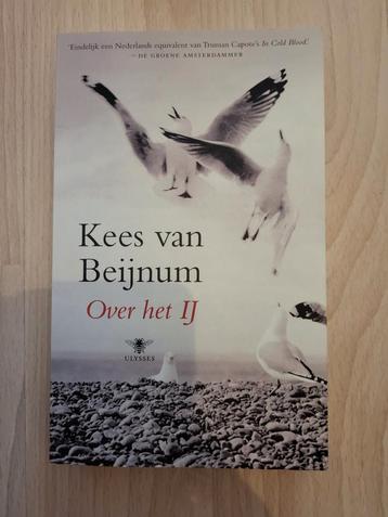 Kees van Beijnum - Over het IJ beschikbaar voor biedingen