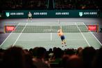 ABN AMRO Open Tennis - Finale 2x courtside naast elkaar, Twee personen, Februari