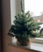 kerstboompje voor binnen/buiten met juten voet. Hoogte 50 cm, Ophalen of Verzenden, Zo goed als nieuw, Binnen
