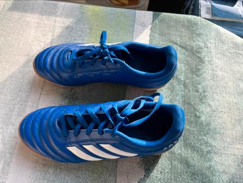 Adidas copa zaal schoen maat 38, Sport en Fitness, Voetbal, Zo goed als nieuw, Schoenen, Maat XS of kleiner, Ophalen of Verzenden