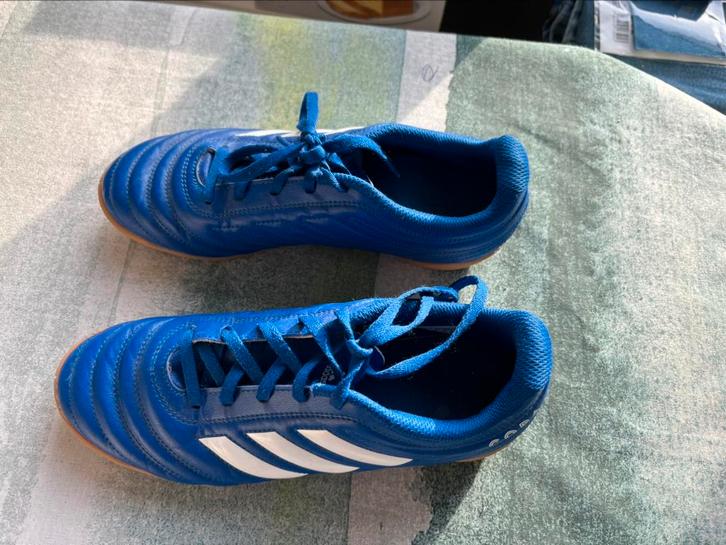 Adidas copa zaal schoen maat 38, Sport en Fitness, Voetbal, Zo goed als nieuw, Schoenen, Maat XS of kleiner, Ophalen of Verzenden
