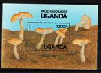 UGANDA 1991 PF BLOK PADDENSTOELEN MUSHROOMS FLORA, Ophalen of Verzenden, Postfris, Dier of Natuur