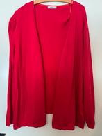 Nieuw vest Cecil maat xl, Kleding | Dames, Maat 46/48 (XL) of groter, Ophalen of Verzenden, Zo goed als nieuw, Cecil
