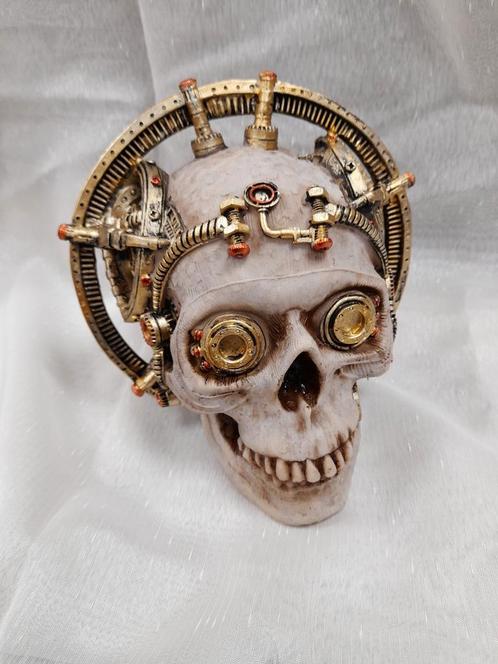 Steampunk skull, Verzamelen, Beelden en Beeldjes, Zo goed als nieuw, Ophalen of Verzenden