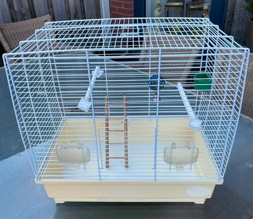 Mooi gebruikte vogelkooi mer toebehoren te koop, Dieren en Toebehoren, Vogels | Hokken en Kooien, Gebruikt, Vogelkooi, Metaal