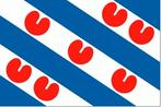 Gezocht spullen Friesland tweede wereldoorlog, Verzamelen, Militaria | Tweede Wereldoorlog, Ophalen of Verzenden, Nederland