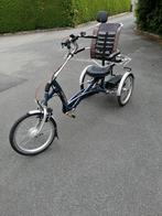 Van Raam Easy Rider E-Bike Therapierad, Fietsen en Brommers, Elektrische fietsen, Overige merken, Ophalen of Verzenden, Zo goed als nieuw