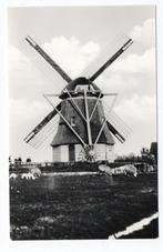 KROMMENIE - Molen - K. Tanger - Reproductie, Verzenden, Ongelopen, Noord-Holland
